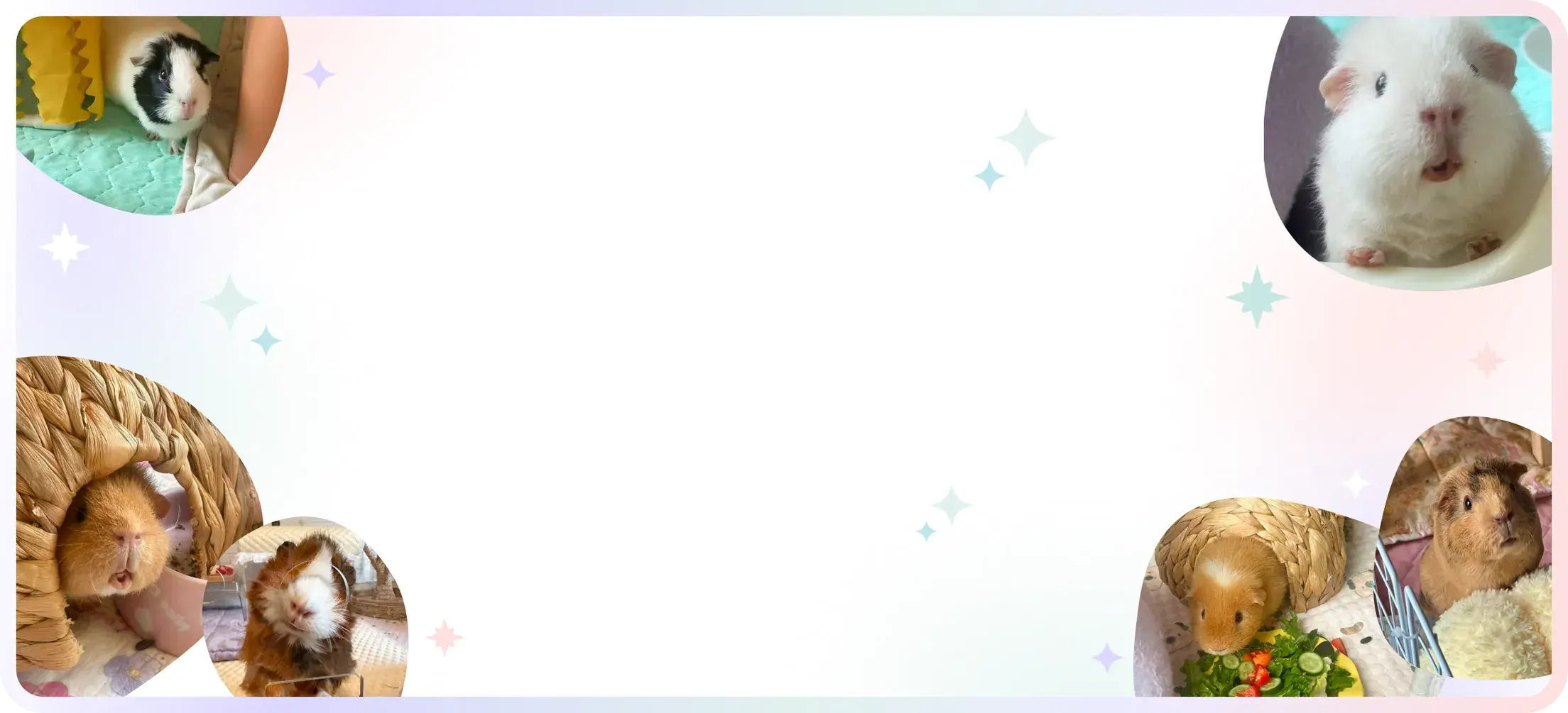 Boarding Banner Background