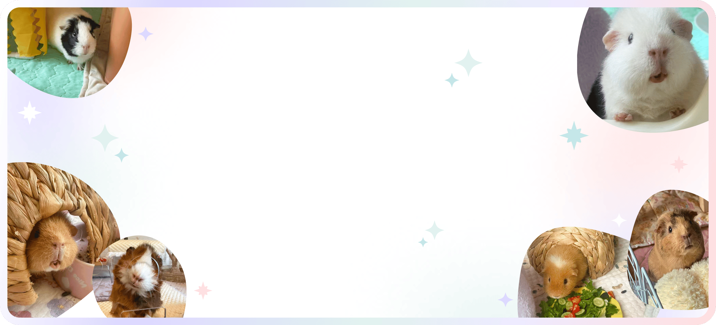 Boarding Banner Background